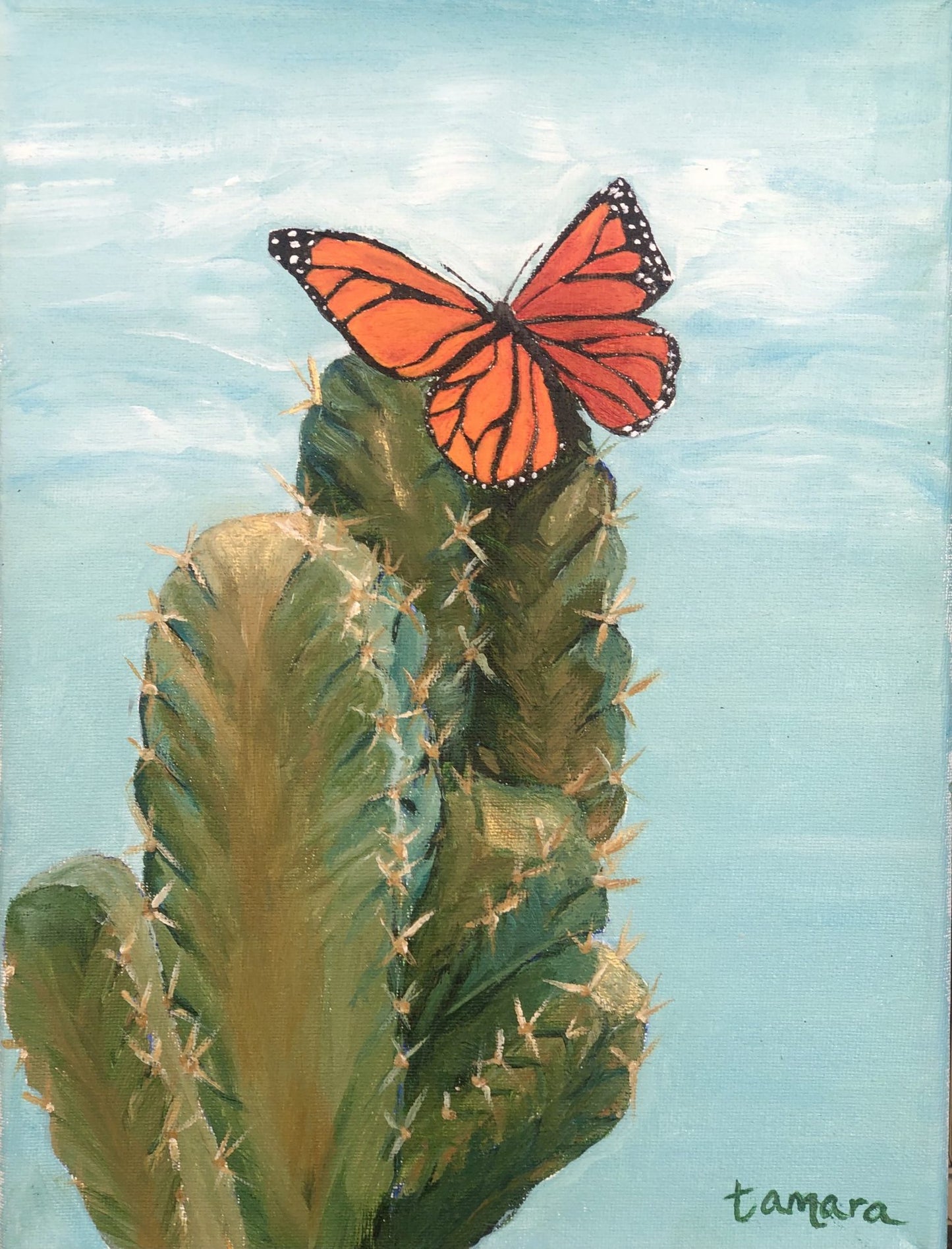 Southwest Butterfly